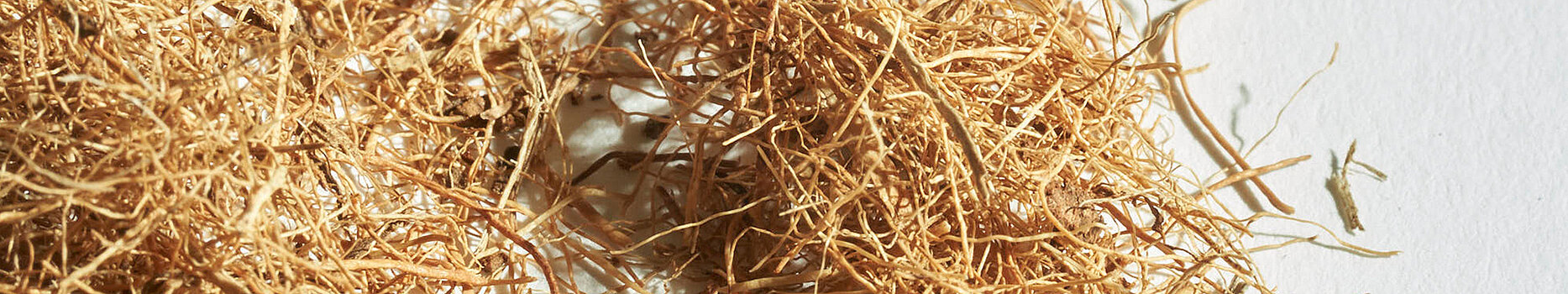 Coconut fibers – natural reinforcement materials