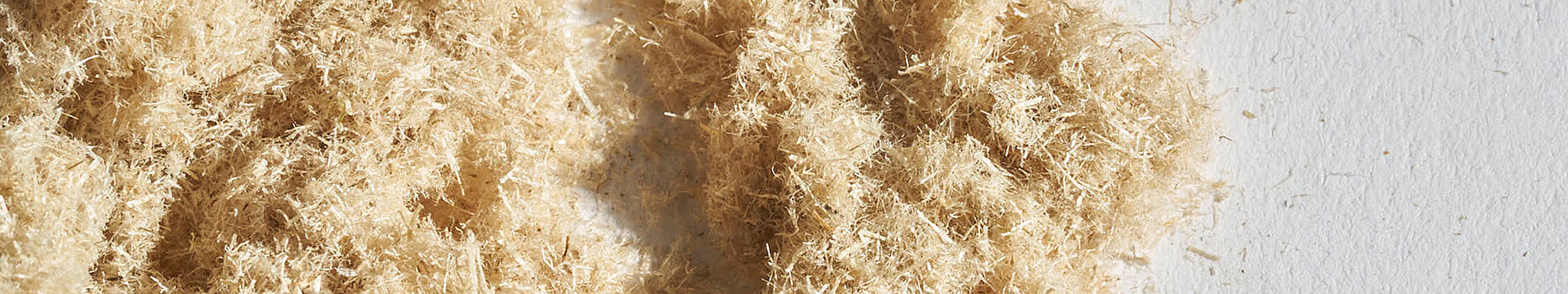 Hemp fibers – sustainable natural raw material