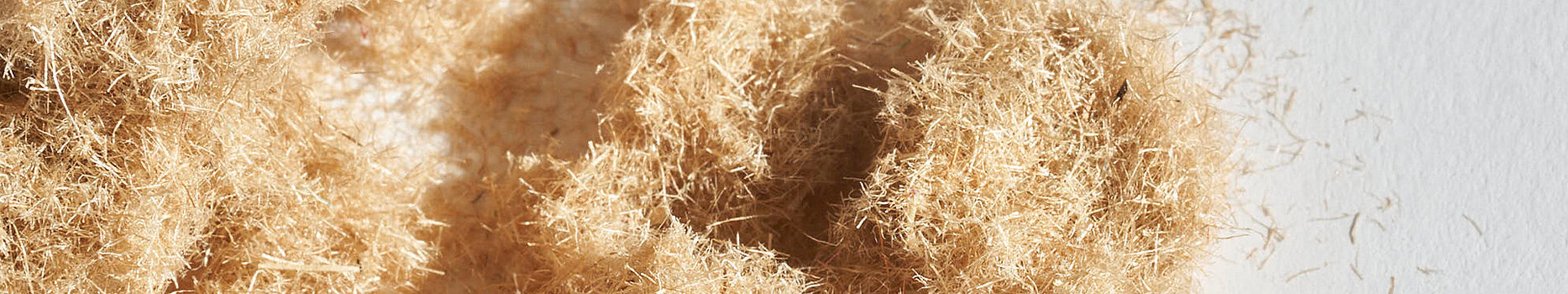 Jute fibers – sustainable raw material