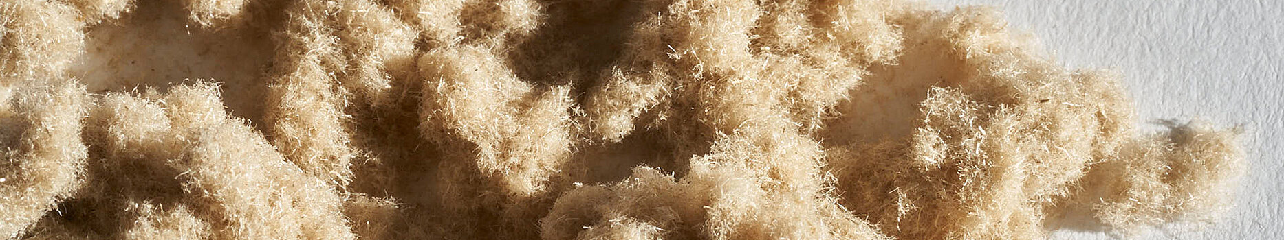 Flax fiber – ecological reinforcement fiber