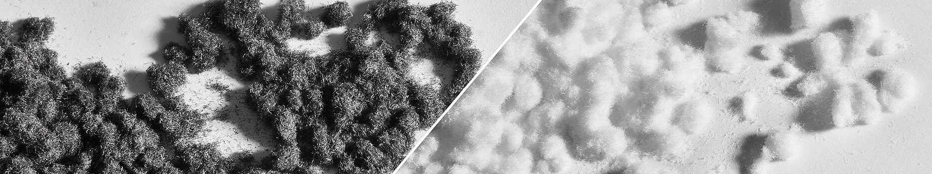 Cotton fibers – natural textile fiber